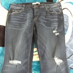 Maurices Flare Jeans